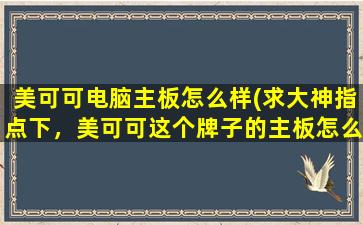 美可可电脑主板怎么样(求大神指点下，美可可这个牌子的主板怎么样h110+g4560比x4 860k那个性价比更高)